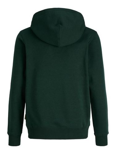 Jack & Jones Frederiksberg hettegenser til junior - pine grove